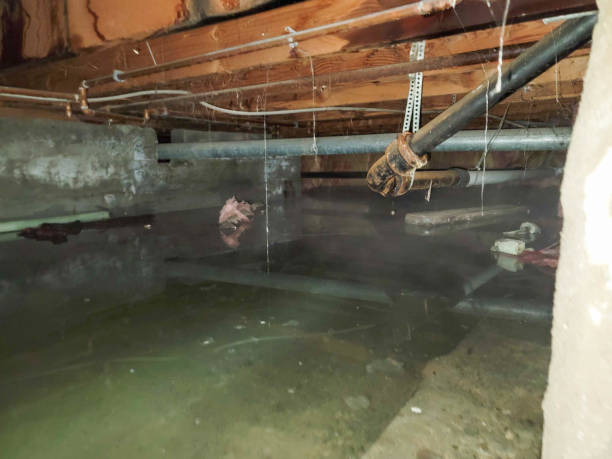 Best Basement water damage restoration  in Rmel By The Sea, CA