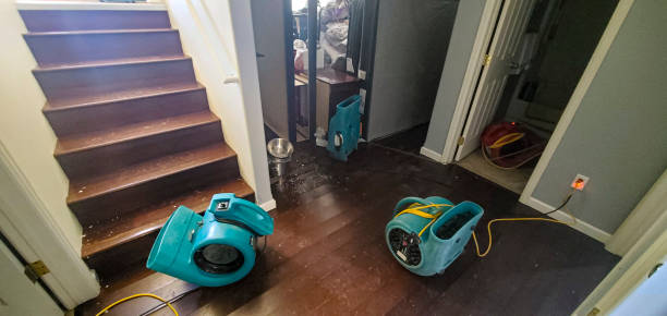 Best Flood damage cleanup  in Rmel By The Sea, CA
