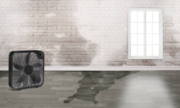 Best Commercial water damage restoration  in Rmel By The Sea, CA