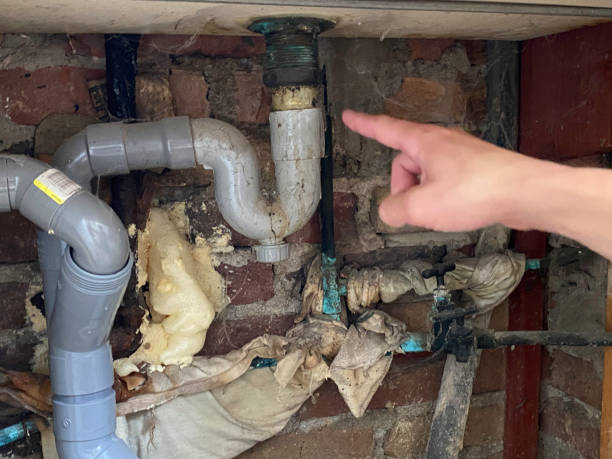 Best Water damage restoration near me  in Rmel By The Sea, CA
